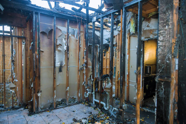 Professional Fire Damage Removal technician working in Bonifay, FL